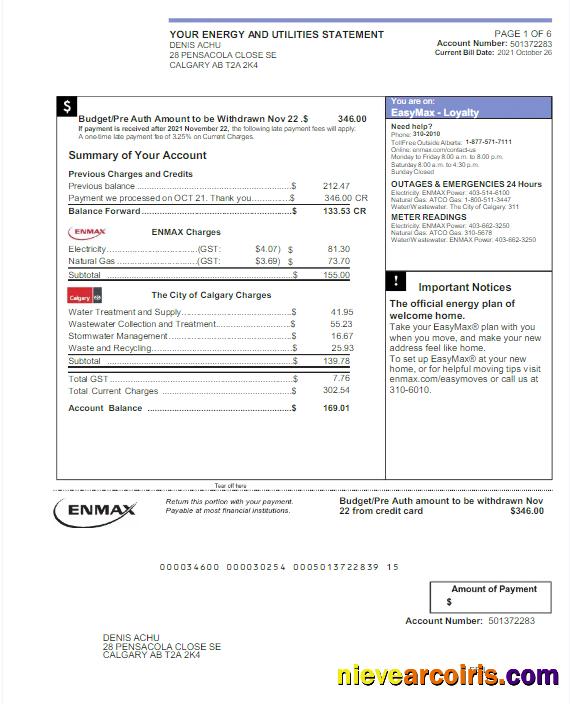 Professional CANADA ENMAX Utility Bill Word And PDF Template