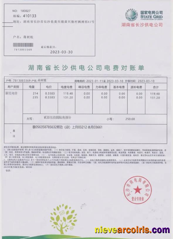 Premium CHINA STATE POWER GRID Utility Bill Word And PDF Template