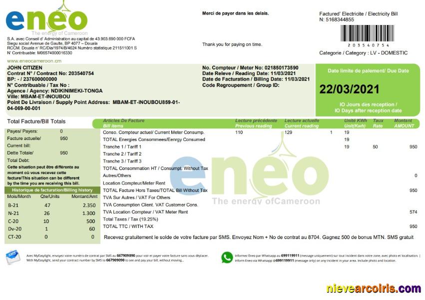 Premium Cameroon ENEO Electricity Utility Bill Template In Word And PDF Format (current Version)