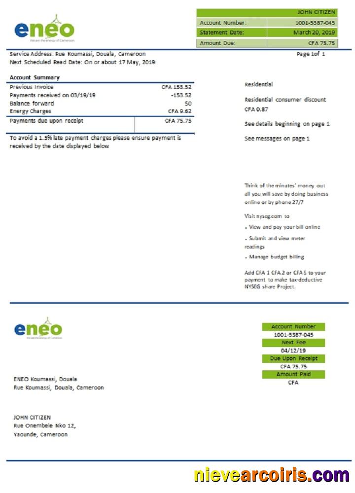 Cameroon ENEO Electricity Utility Bill Template