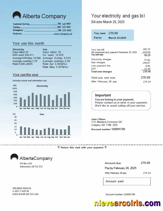 Premium Canada Alberta Company Utility Bill Template In Word And PDF Formats