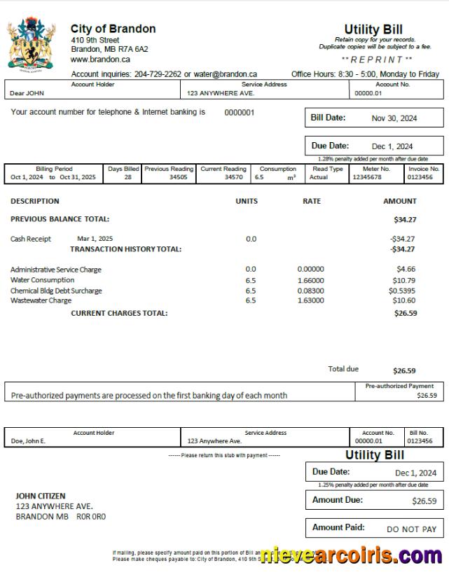 Premium Canada City Of Brandon Utility Bill Template In Word And PDF Formats