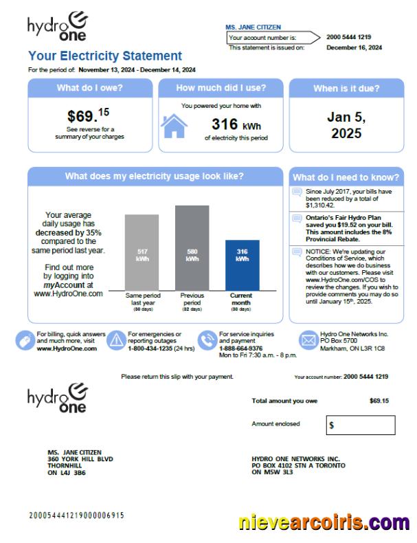 Realistic Canada Hydro One Utility Bill Template In Word And PDF Formats, Version 2