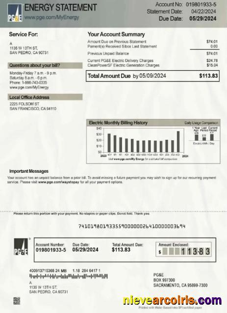 Canada PG&E Energy Bill In PSD Format Template