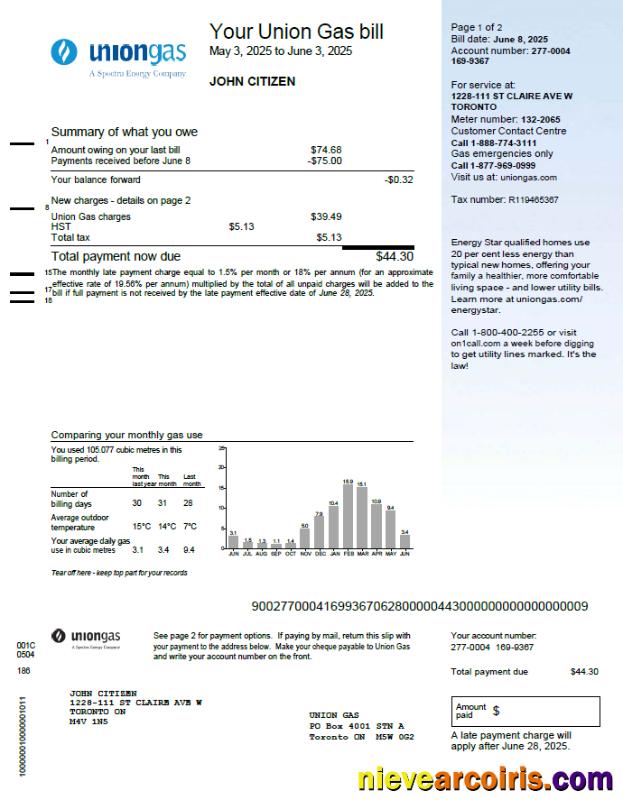 Editable Canada Union Gas Utility Bill Template In Word And PDF Formats
