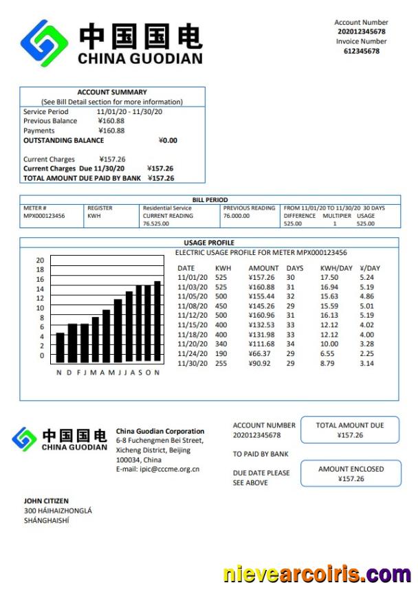 China Guodian Corporation Electricity Utility Bill Sample
