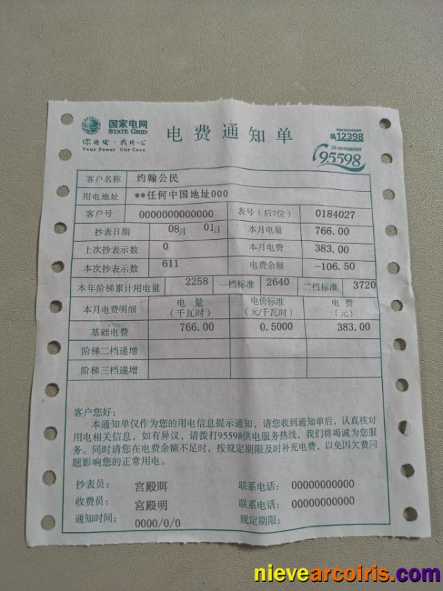 China State Grid Corporation Of China (SGCC) Electricity Utility Bill Photolook Preview