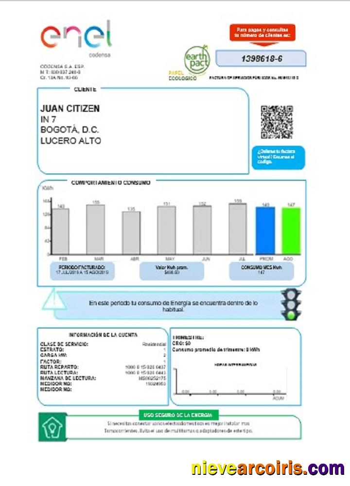 Colombia ENEL Energy Utility Bill Sample