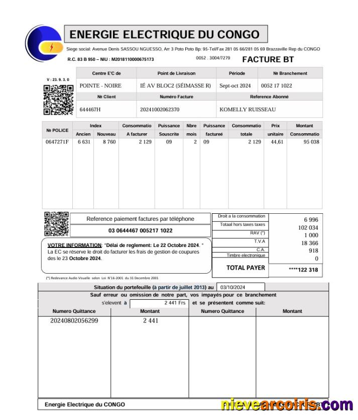 Congo Energie Electrique Du Utility Bill Preview