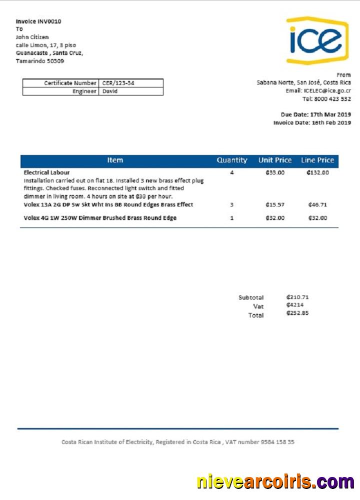 Costa Rica Costa Rican Institute Of Electricity Utility Bill Preview