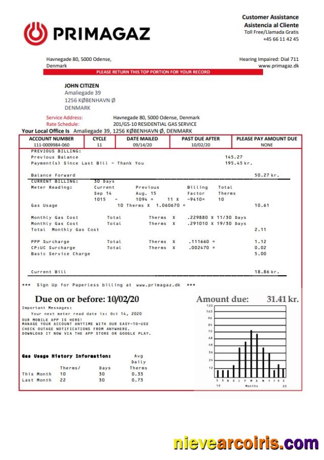 Premium Denmark Primagaz Denmark Gas Utility Bill Template In Word And PDF Format