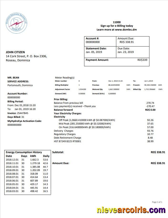 Professional Dominica Electricity Services Limited Electricity Utility Bill Template In Word And PDF Format