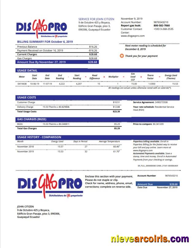 Editable Ecuador Disgaspro Gas Utility Bill Template In Word And PDF Format