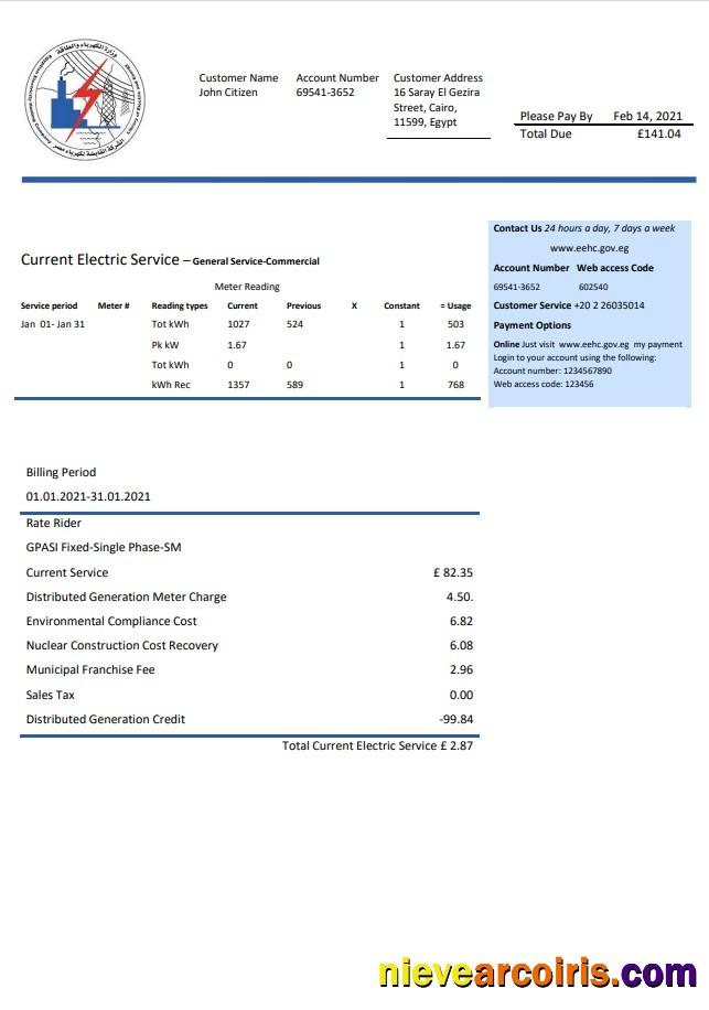Premium Egypt Egyptian Electricity Utility Bill Template In Word And PDF Format