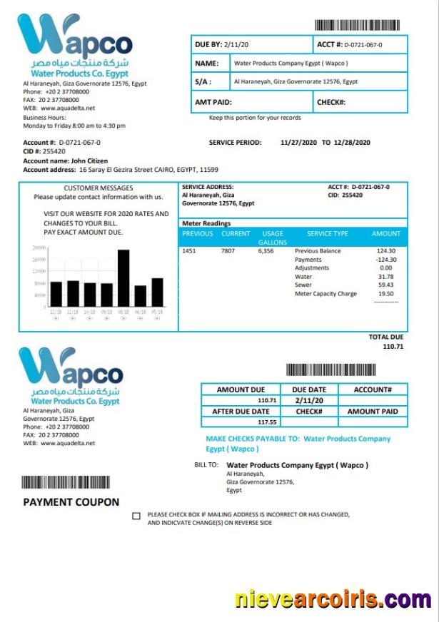 Professional Egypt Water Products Company Egypt (Wapco) Utility Bill Template In Word And PDF Format