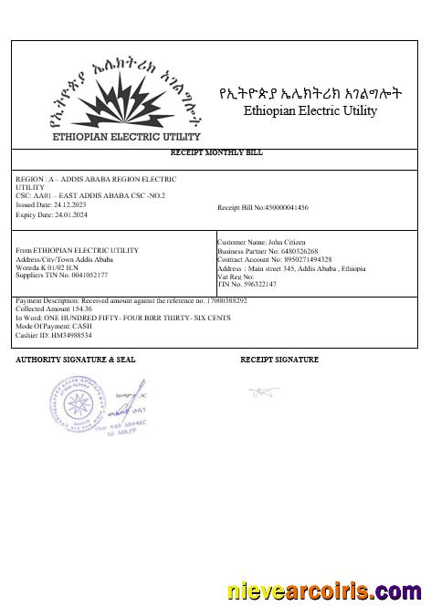 Ethiopian Electric Utility Bill In Wordand PDF Formats Template
