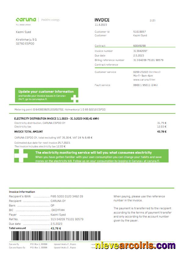 Premium FINLAND CARUNA Utility Bill Word And PDF Template