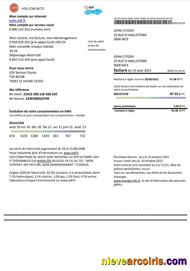 Professional France EDF Proof Of Address Utility Bill Template In Word And PDF Format