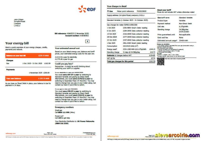 Professional France EDF Utility Bill Template In Word And PDF Formats, 2 Pages