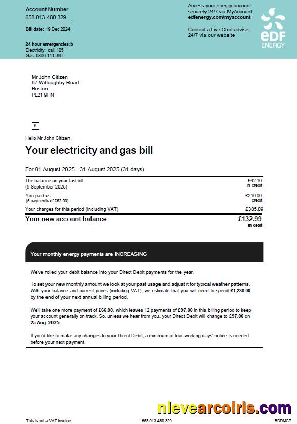 Realistic France EDF Utility Bill Template In Word And PDF Formats, Version 2