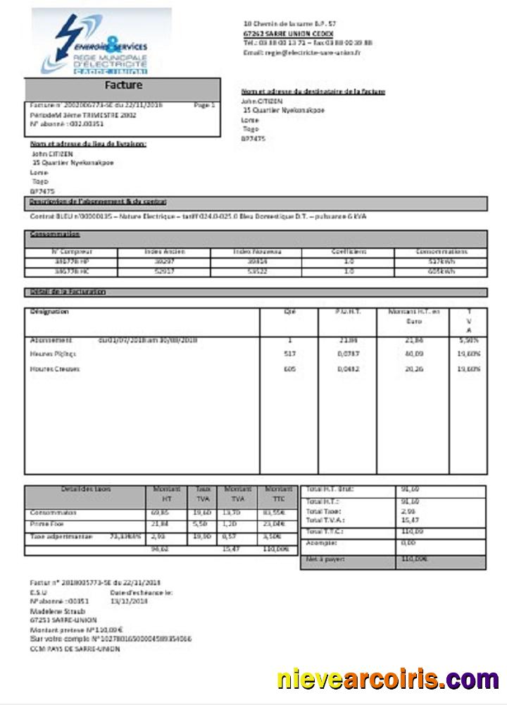 France Energies & Services Régie Municipal D’ Electricité Sarre Union Electricity Utility Bill Preview