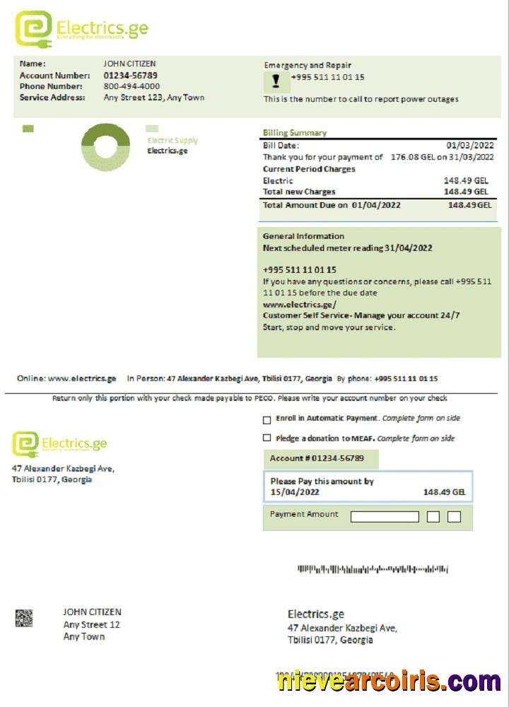Georgia Electrics.ge Electricity Bill Sample