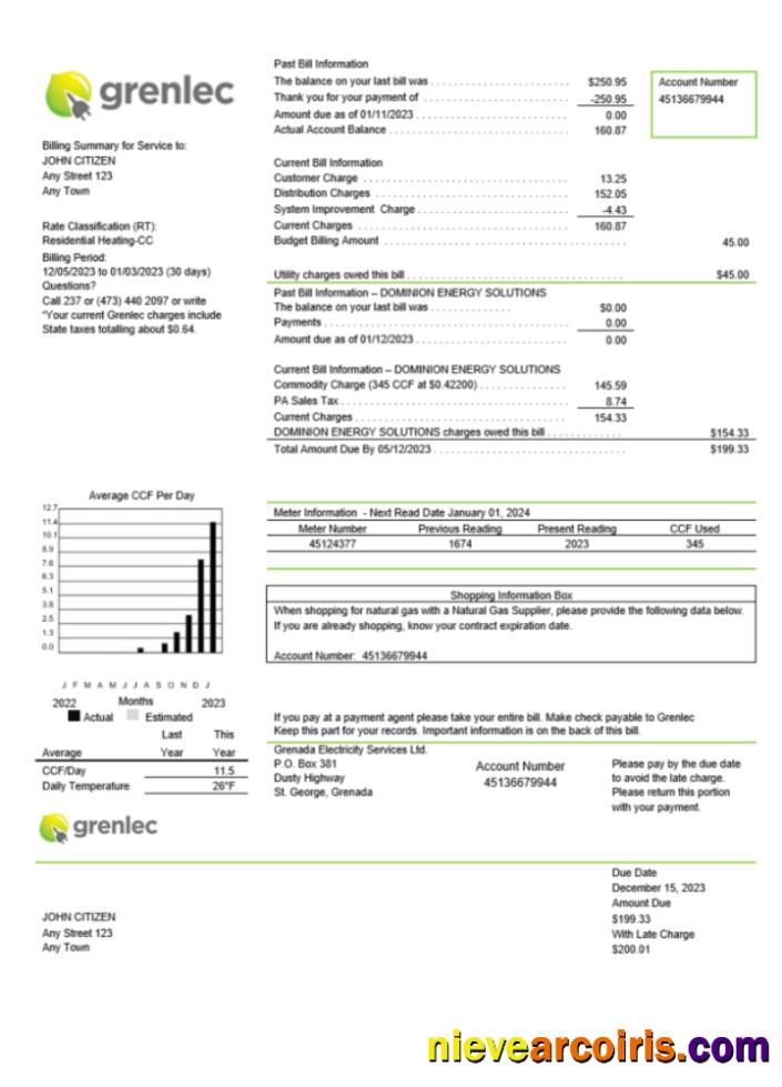 Premium Grenada Electricity Services Utility Bill Word And PDF Template