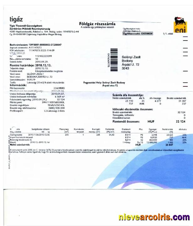Professional HUNGARY TIGAZ Utility Bill Word And PDF Template