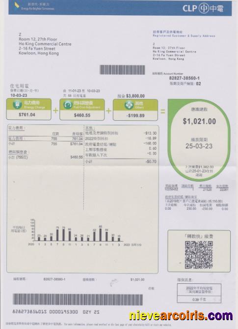 Hong Kong CLP Power Utility Bill In PSD Format Photolook