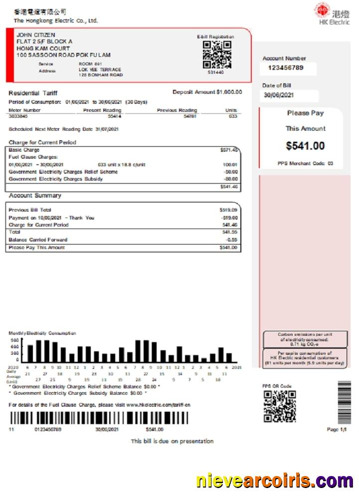Hong Kong Hongkong Electric Company Utility Bill Preview