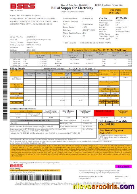 Premium INDIA BSES Electricity Utility Bill Word And PDF Template