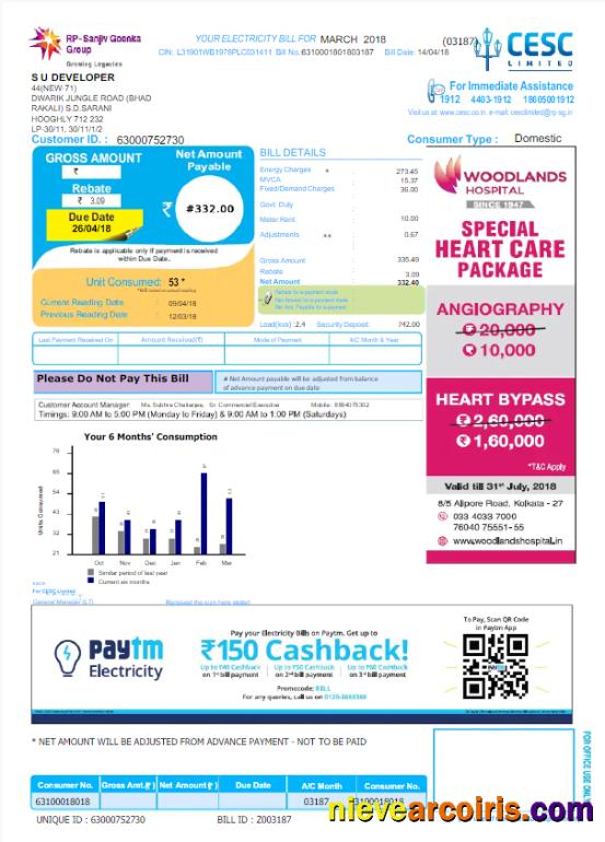 Editable INDIA CESC LIMITED Utility Bill Word And PDF Template