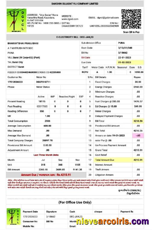 Professional INDIA DGVCL Utility Bill Word And PDF Template