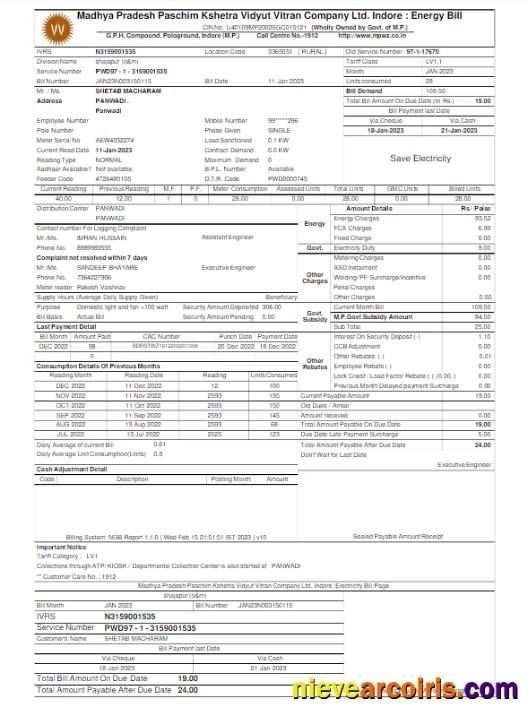 Realistic INDIA MPWZ Utility Bill Word And PDF Template
