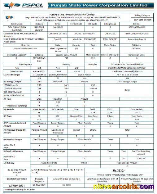 Editable INDIA PSPCL Utility Bill Word And PDF Template