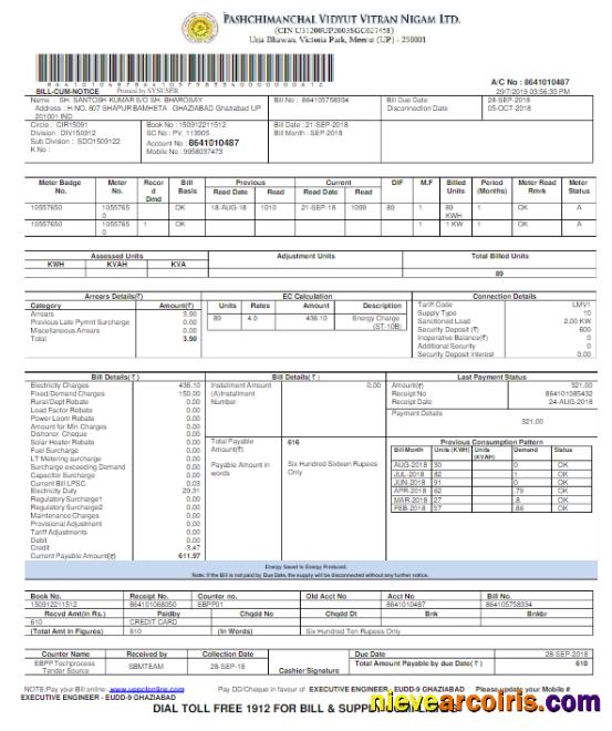 Professional INDIA PVVNL Utility Bill Word And PDF Template