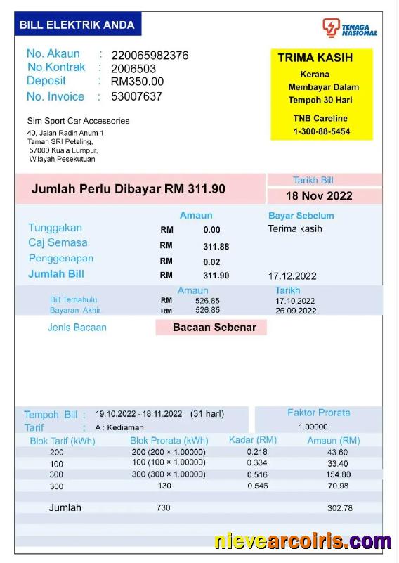 Editable INDIA TENAGA NASIONAL Utility Bill Word And PDF Template