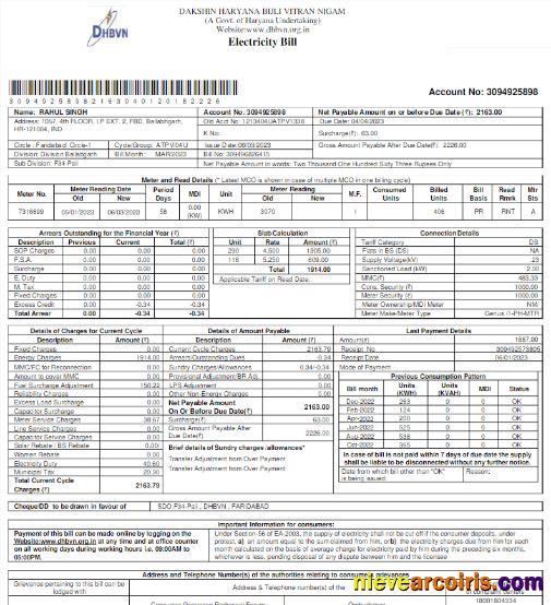 Professional INIDA DHBVN Utility Bill Word And PDF Template