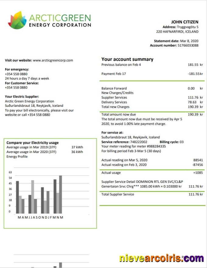 Iceland Arctic Green Energy Corporation Electricity Utility Bill Preview