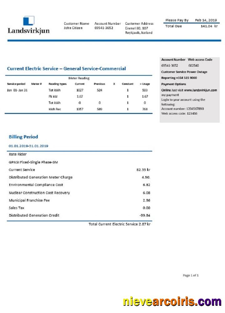 Iceland National Power Company Of Iceland Landsvirkjun Electricity Utility Bill Preview