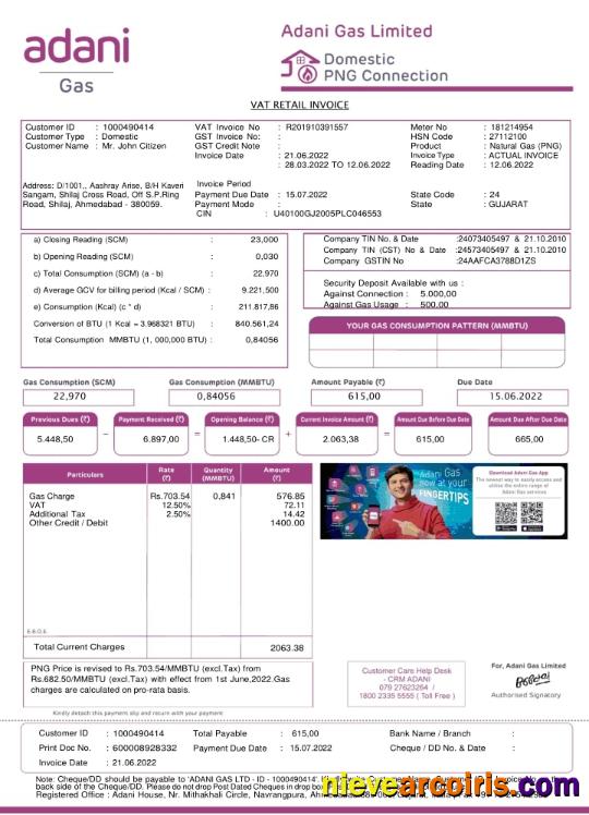 India Adani Utility Bill Sample