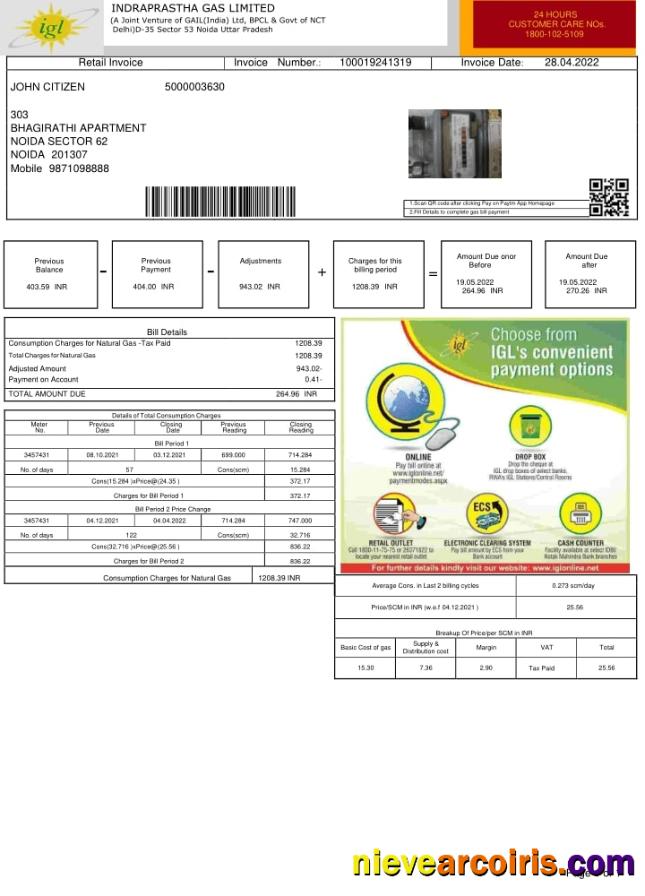 India INDRAPRASTHA GAS LIMITED Utility Bill Photolook