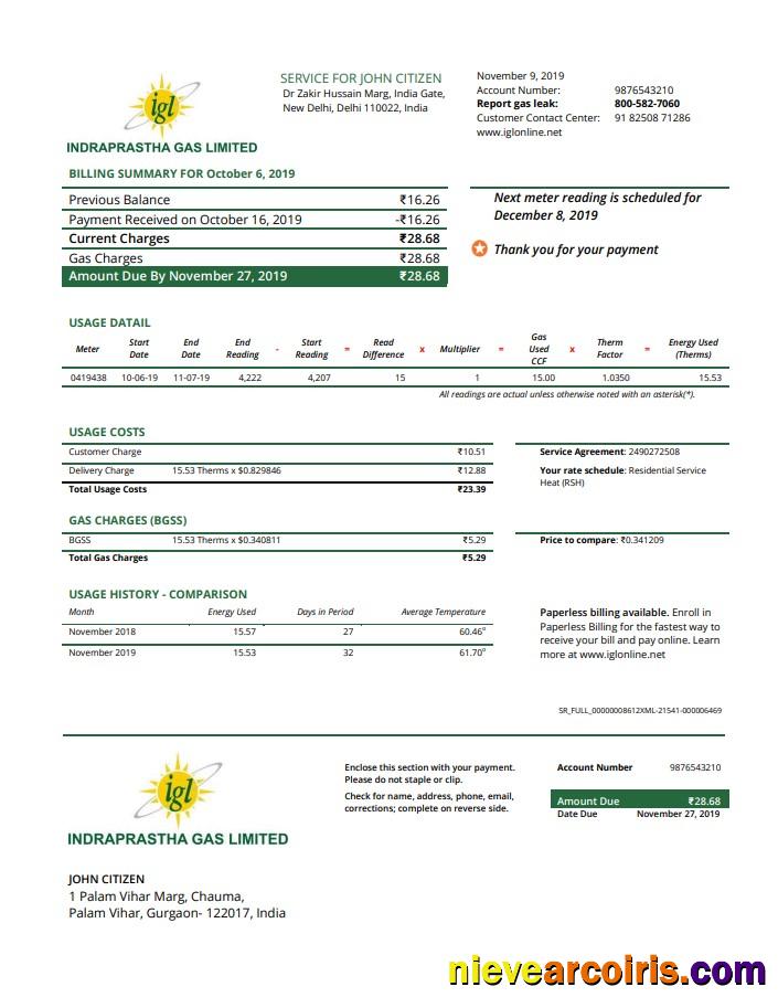 India Indraprasth Gas Utility Bill Photolook
