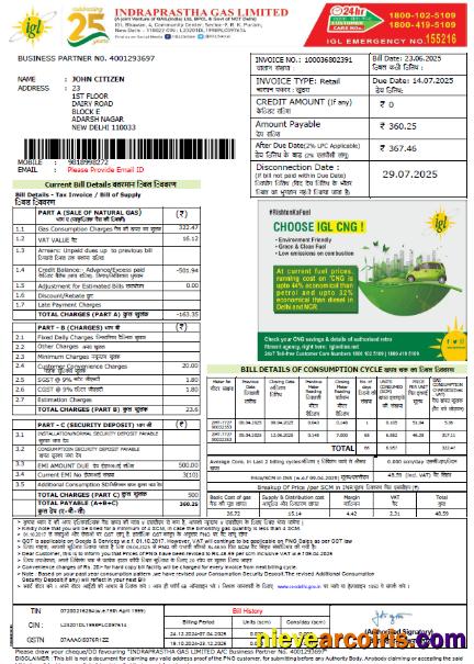 Premium India Indraprastha Gas Utility Bill Template In Word And PDF Formats