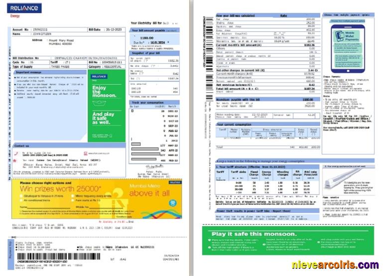 India Reliance Energy Utility Bill Sample