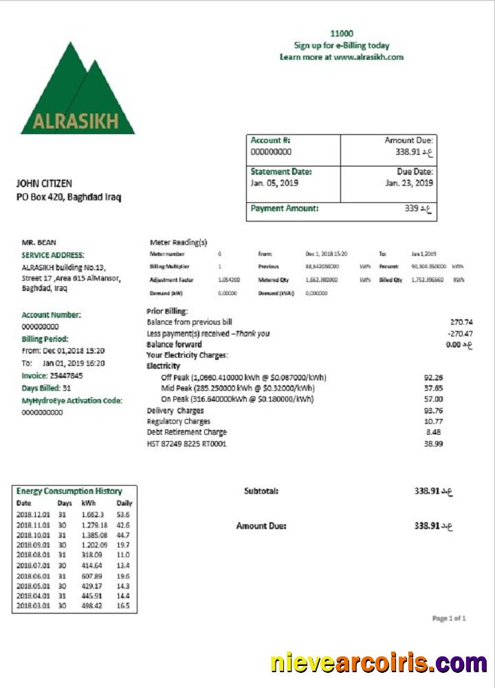 Iraq AlRasikh Electricity Utility Bill Preview