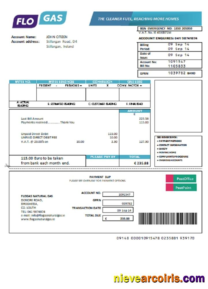 Ireland Flogas Natural Gas Utility Bill Sample