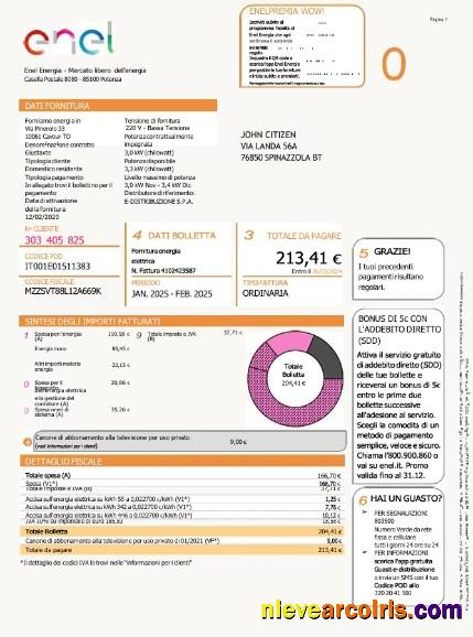 Editable Italy Enel Energia Utility Bill Word And PDF Template