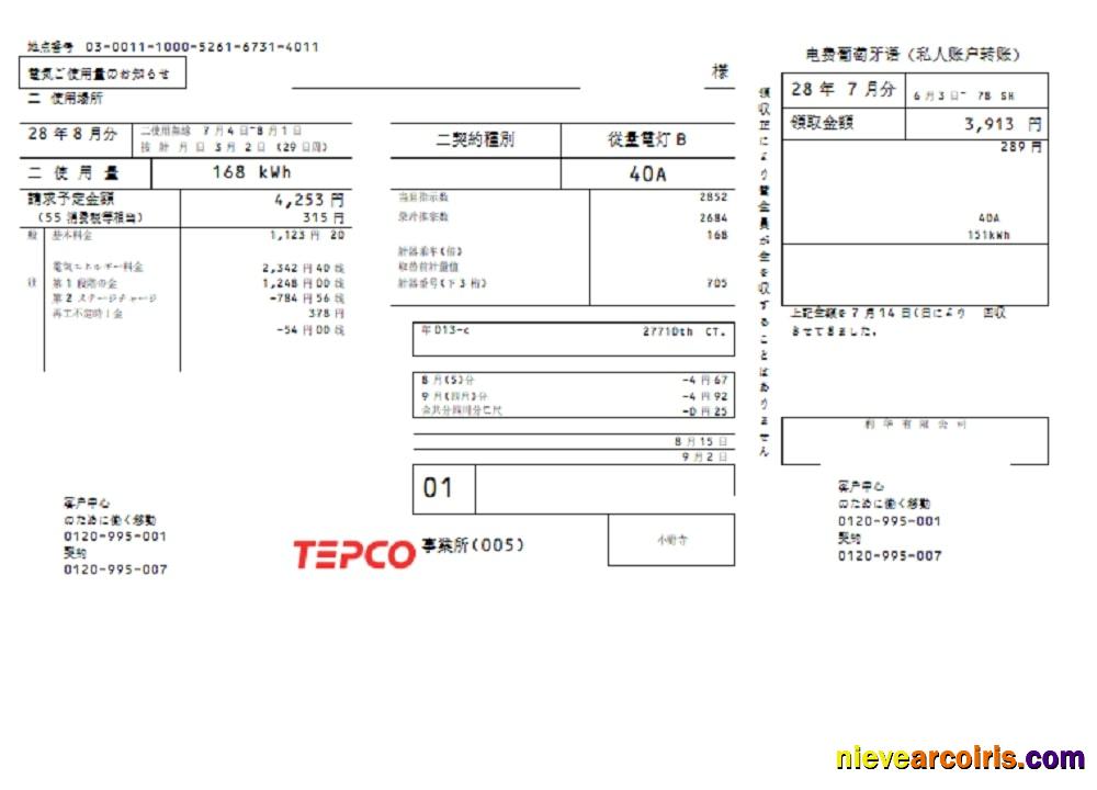 Realistic Japan Tokyo Electric Power Company (TEPCO) Electricity Utility Bill Template In Word And PDF Format ( 東京電力ユーティリティ請求書テンプレート)