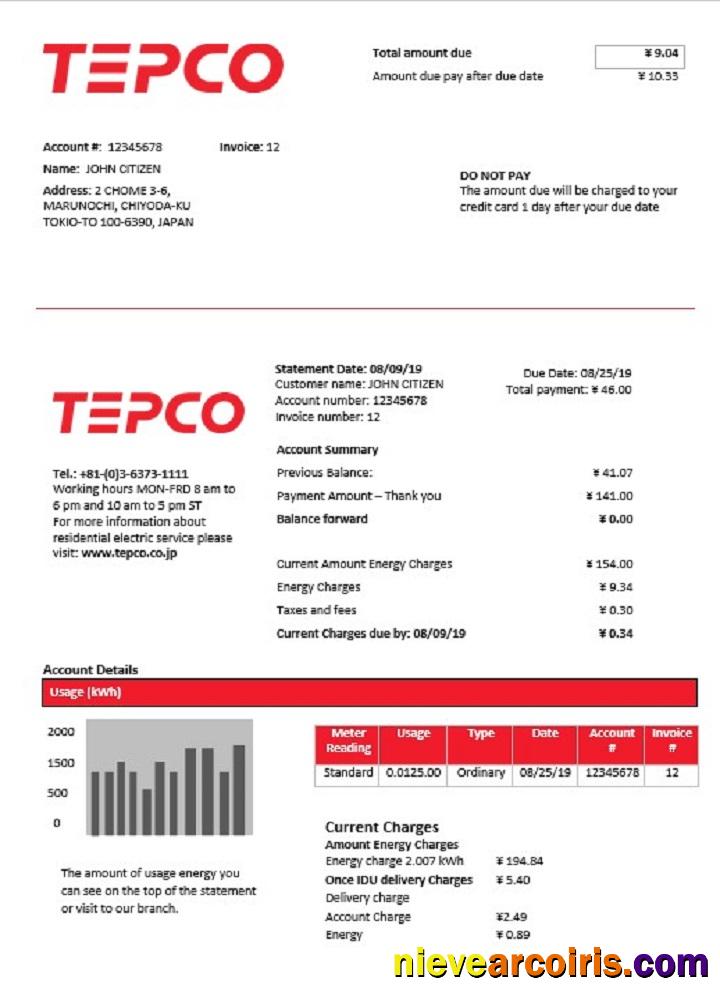 Premium Japan Tokyo Electric Power Company Electricity Utility Bill Template In Word And PDF Format